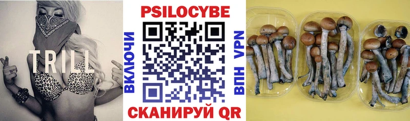 сколько стоит Хвалынск ссылка на мегу tor Псилоцибиновые грибы GOLDEN TEACHER